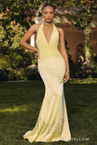 Cheyenne Gown